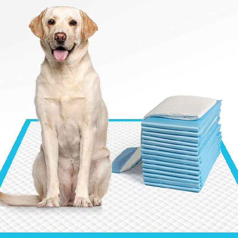 IMMCUTE Dog Pee Pads up to 11% off Deal