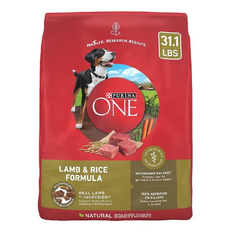 Purina ONE Dry Dog Food – Up to 20% Off Deal