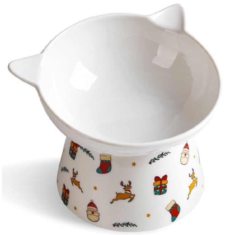 Wellbro Ceramic Raised Cat Bowl up to 50% Off Deal