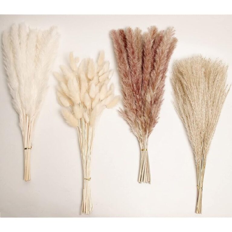 Natural Dried Pampas Grass Decor up to 56% off Deal