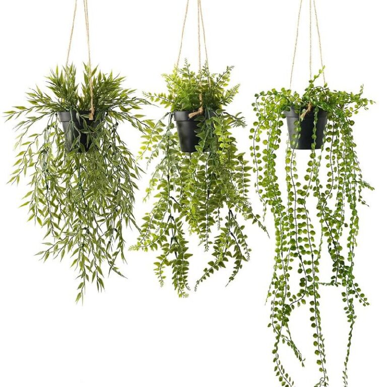 PENGYEE Hanging Plants 50% Off Deals