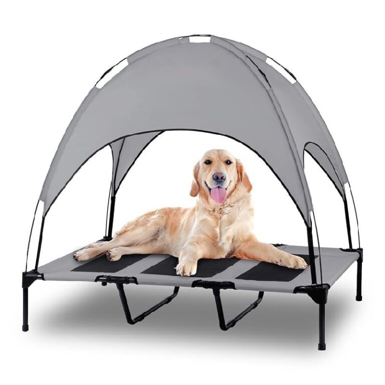 Elevated Outdoor Dog Bed: Up to 50% Off Deal