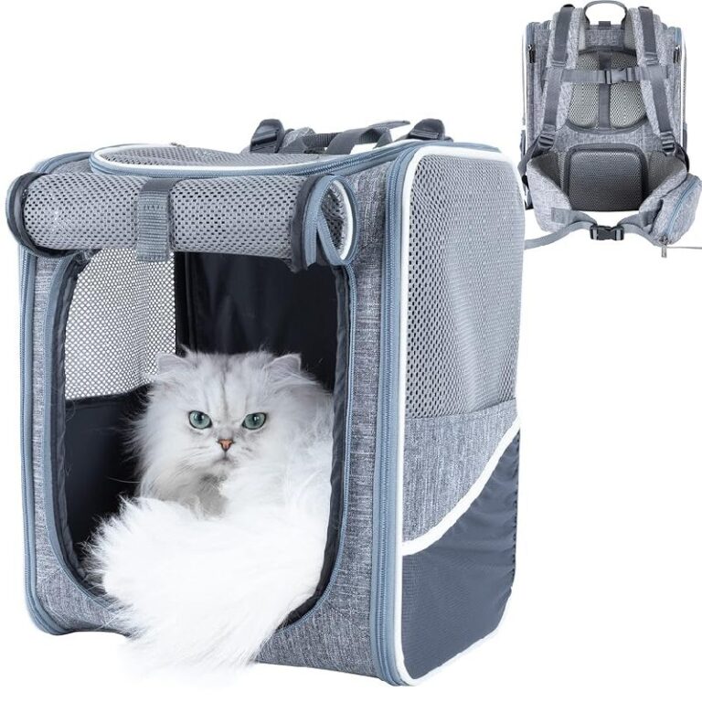 petisfam Pet Backpack Carrier up to 50% Off Deal