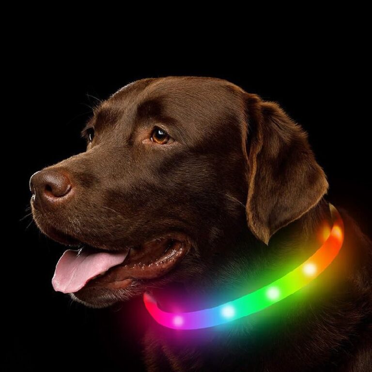 NOVKIN LED Dog Collar up to 50% off Deal