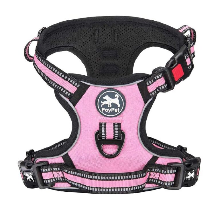 PoyPet No Pull Dog Harness up to 50% Off Deal