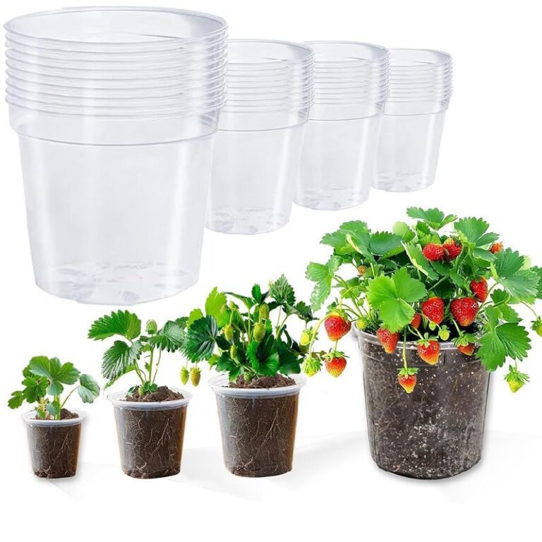 Clear Plant Pots – Up to 50% Off Deals