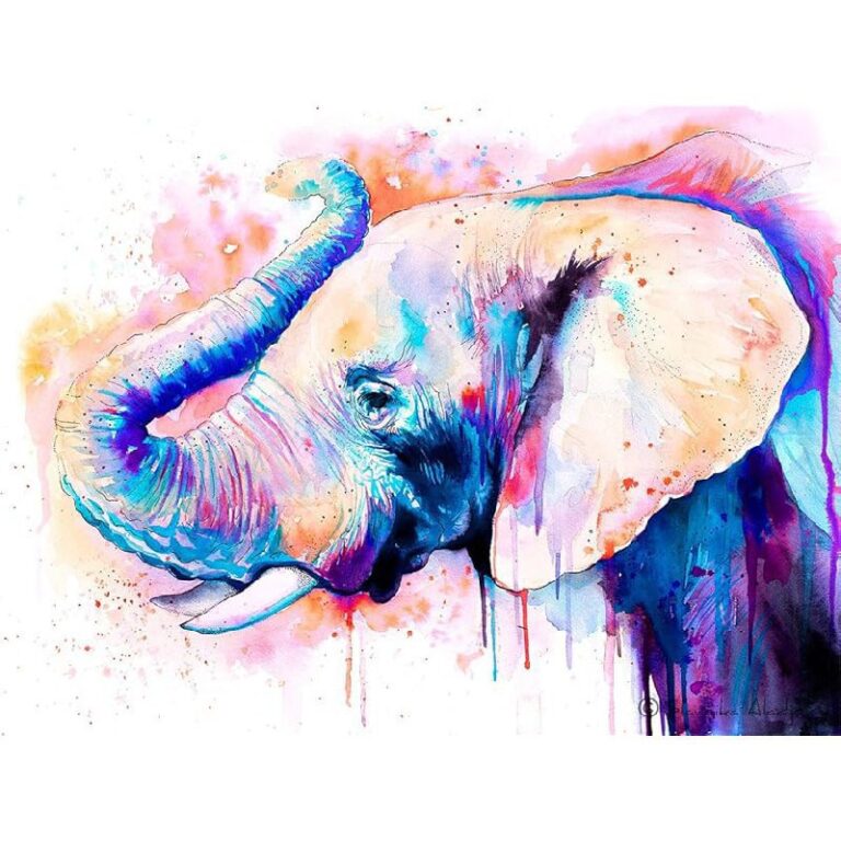 Colorful Elephant Watercolor Print Up to 60% Off Deal