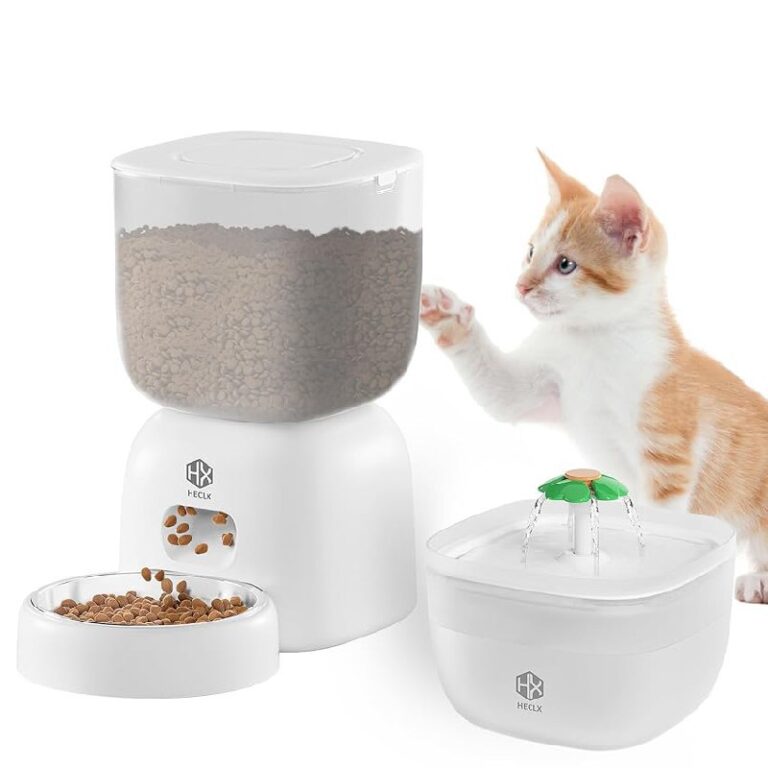 Automatic Cat Feeder: Up to 50% Off Deal