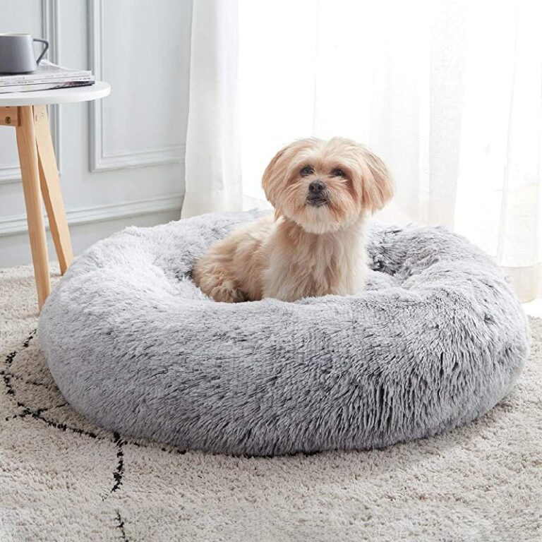 WESTERN HOME WH Dog & Cat Bed up to 36% Off Deal