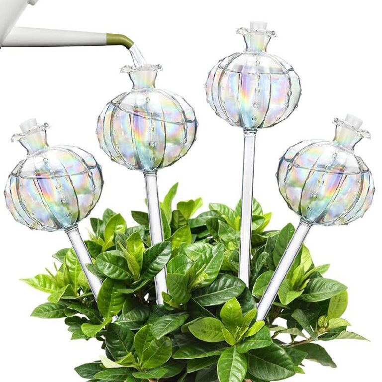 4 Pack Plant Watering Globes – Up to 40% Off Deal