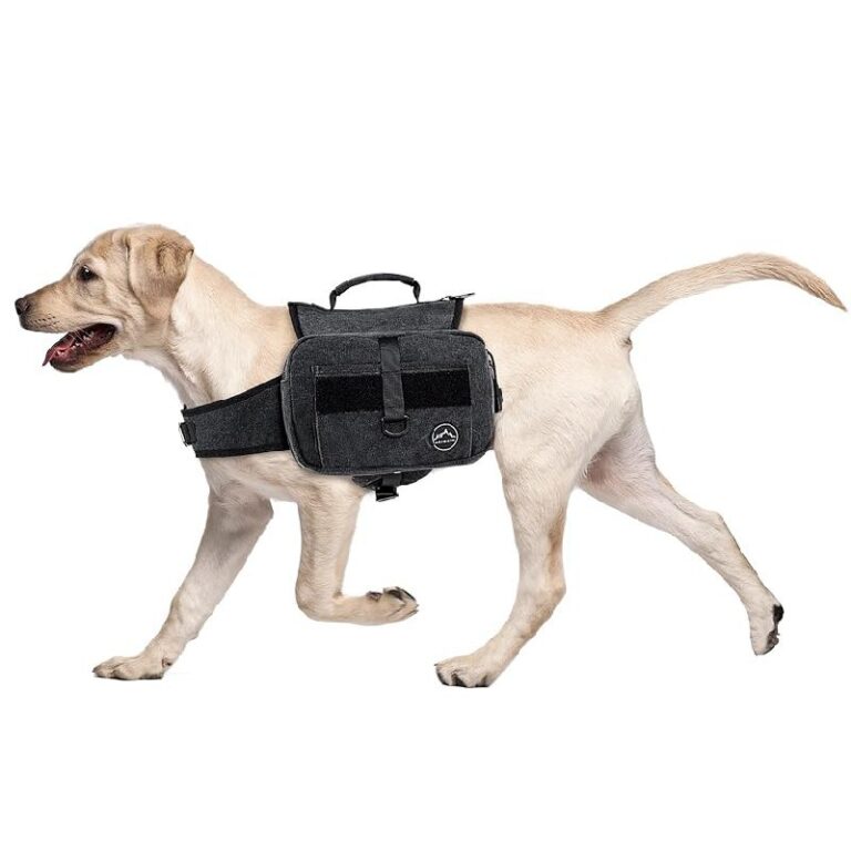 Himal Outdoors Dog Backpack up to 15% Off Deal