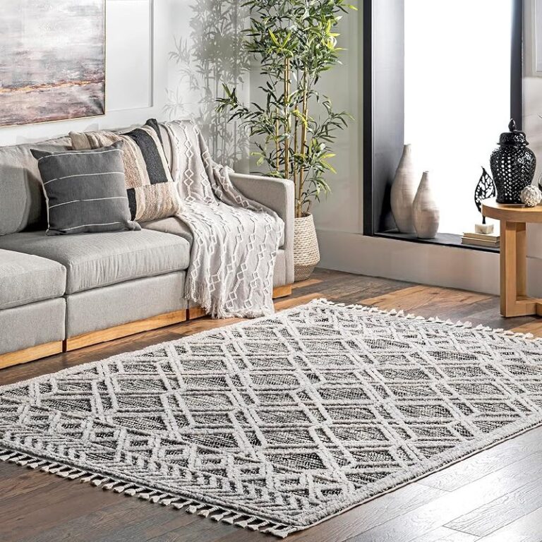 nuLOOM 4×6 Ansley Rug – Up to 18% Off Deal