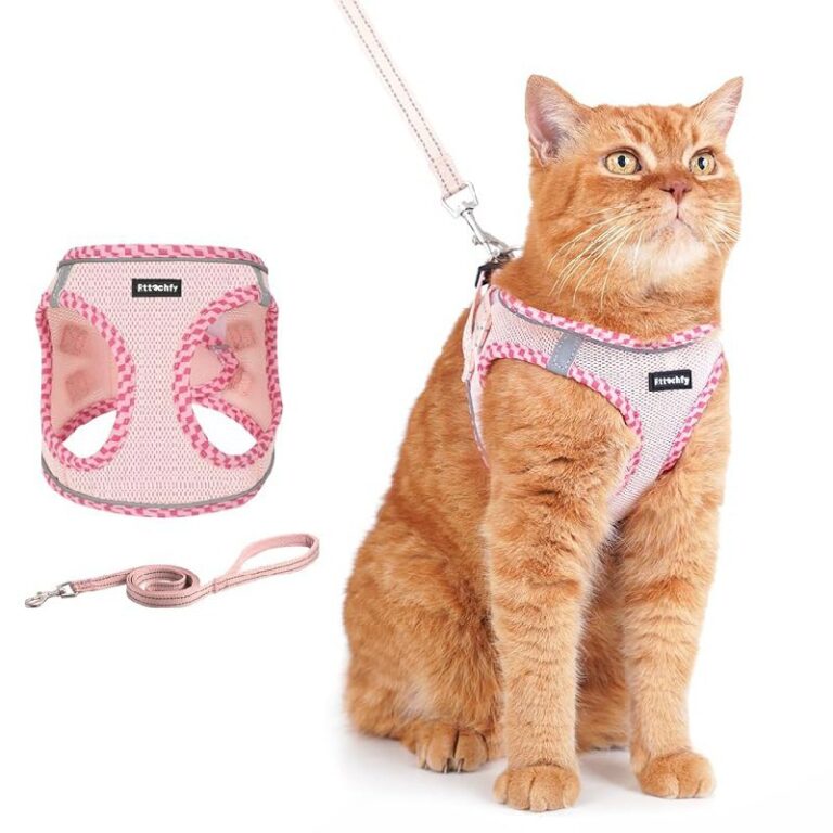 Rttochfy Cat Harness: Up to 10% Off Deal