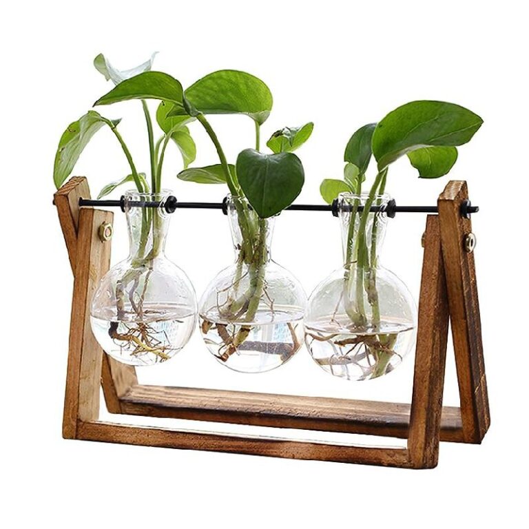 XXXFLOWER Plant Terrarium up to 30% Off Deal