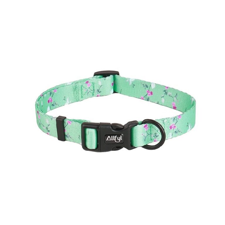 Dog Collar Deals – Up to 50% Off