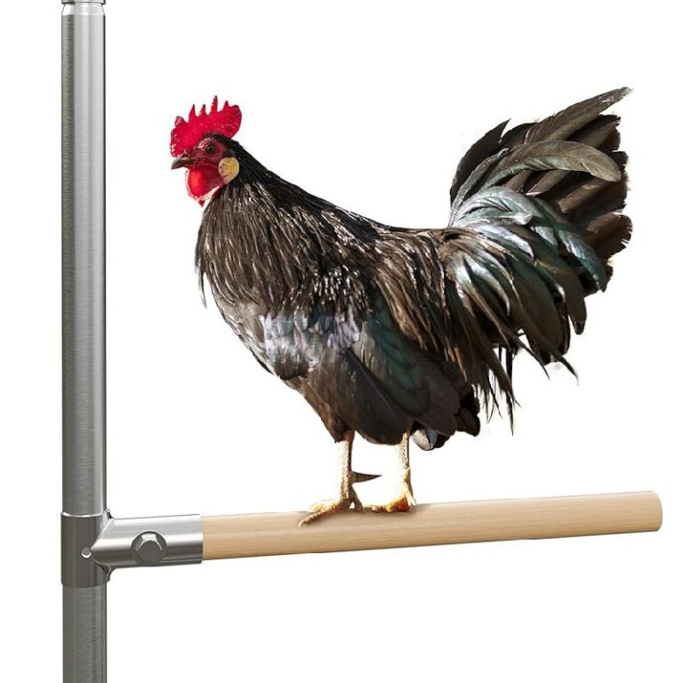 Belinova 8-Pack Chicken Perches Set up to 20% Off Deal