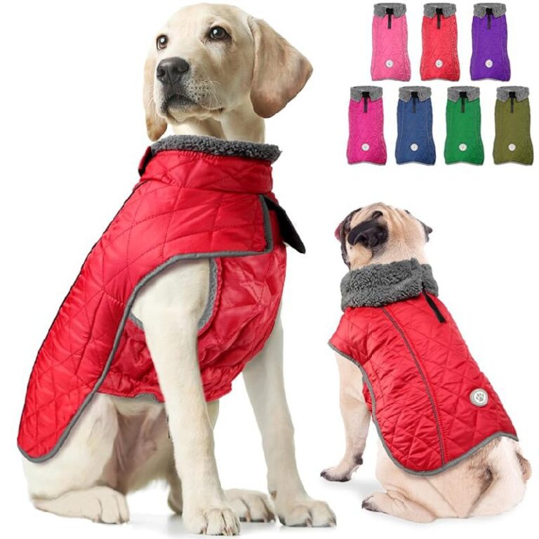 Fragralley Dog Coat up to 50% Off Deal