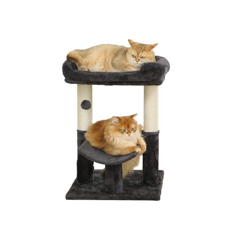 Cat Tree Tower up to 5% Off Deal