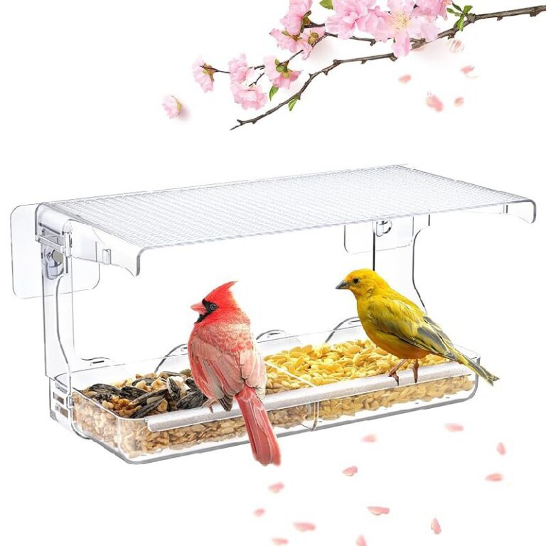 SUNALLY Window Bird Feeder up to 20% Off Deal