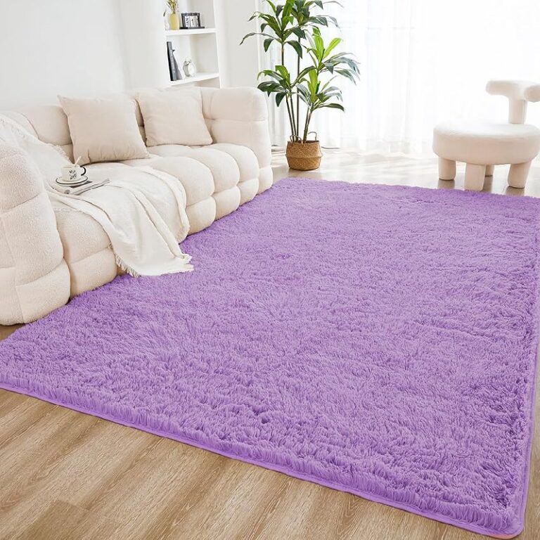 Litanika 3×5 Fuzzy Area Rug up to 50% Off Deal