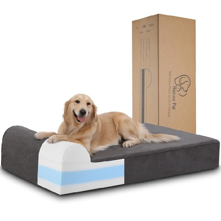 Rainmr Orthopedic Dog Bed up to 50% Off Deals