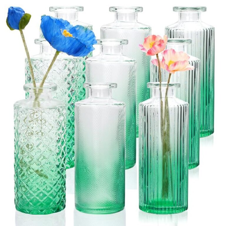 Brajttt Glass Bud Vase Set: Up to 50% Off Deal