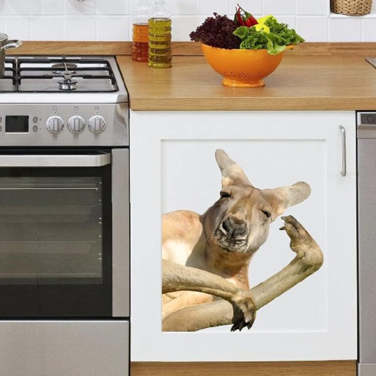 Funny Kangaroo Wall Decal up to 50% Off Deal