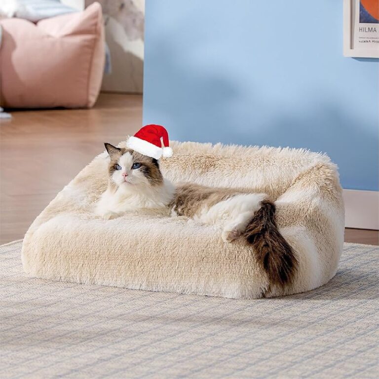 Lesure Cute Cat Couch Bed up to 50% Off Deal