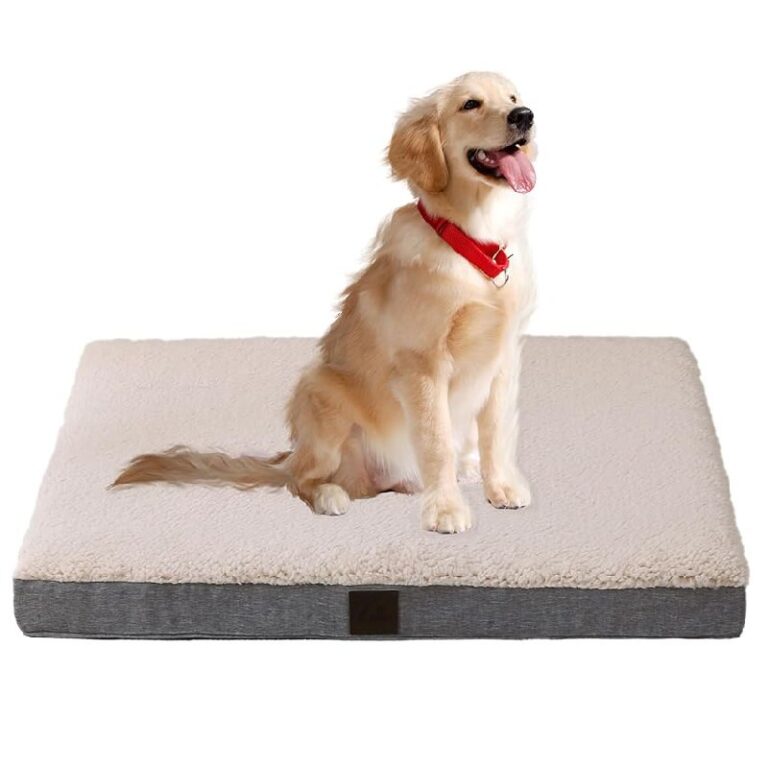 DaysU Large Dog Bed up to 50% Off Deal