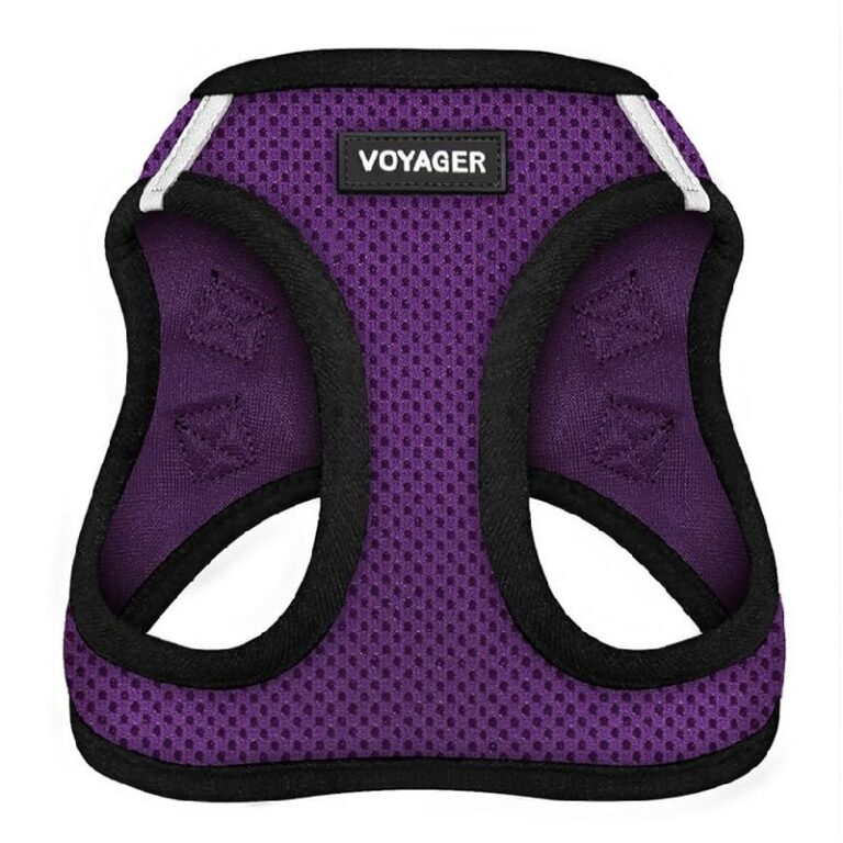 Voyager Dog Harness up to 33% Off Deal