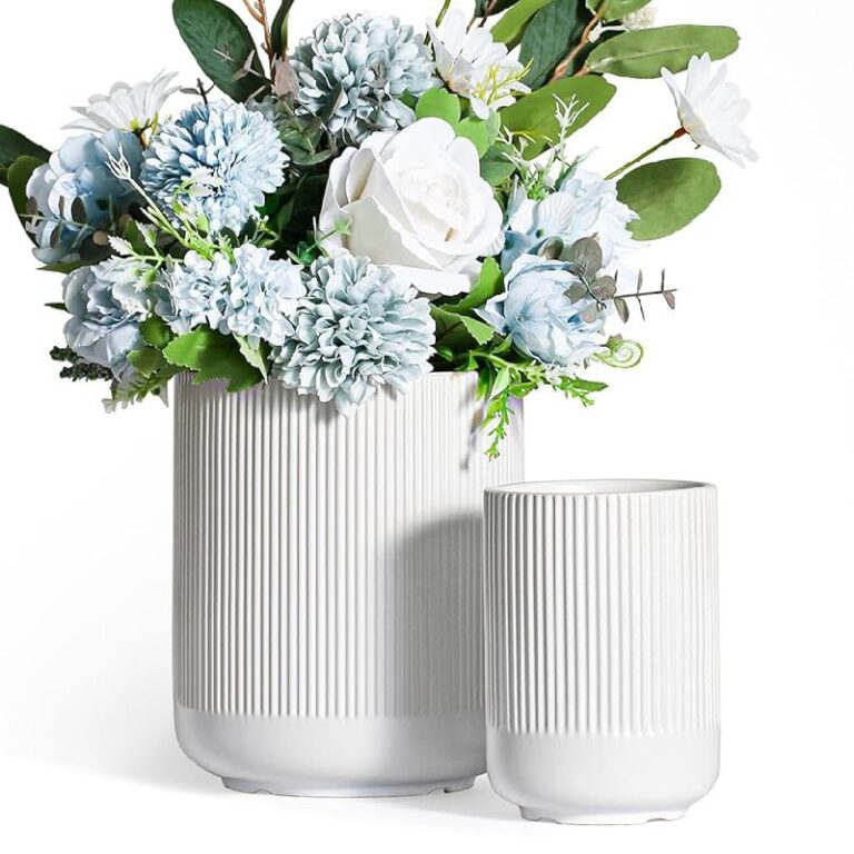 Dnnnii Ceramic Vase Set – Up to 20% Off Deal