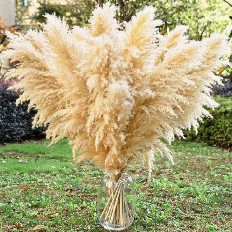 11 PCS Dried Pampas Grass Decor up to 10% Off Deal