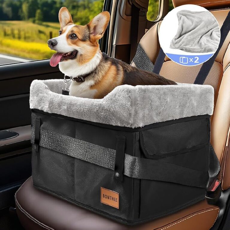 Dog Car Seat 50% Off Deal