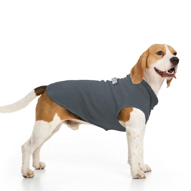 BEAUTYZOO Dog Vest up to 10% Off Deal