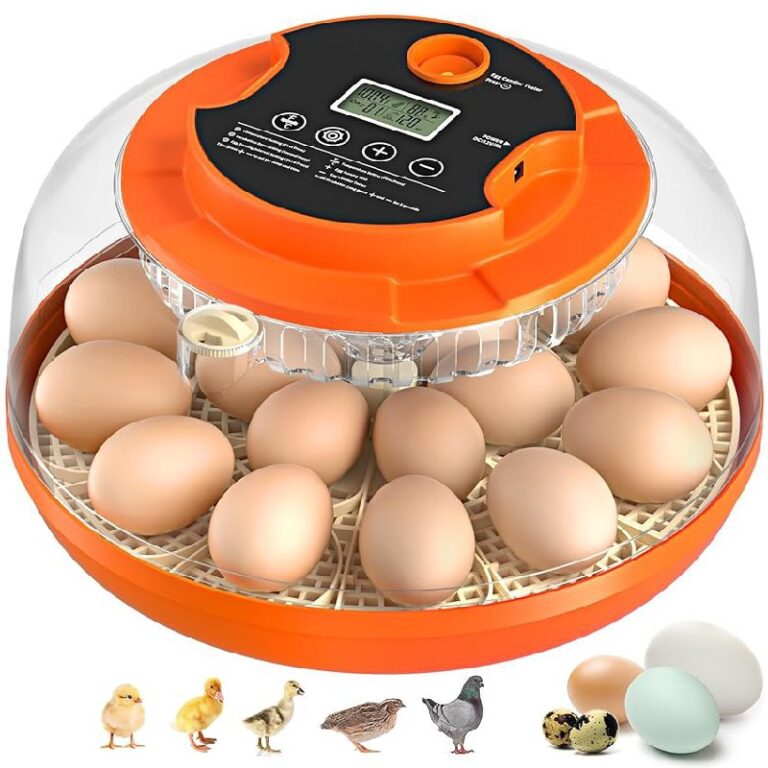 18 Egg Incubator up to 36% off Deal