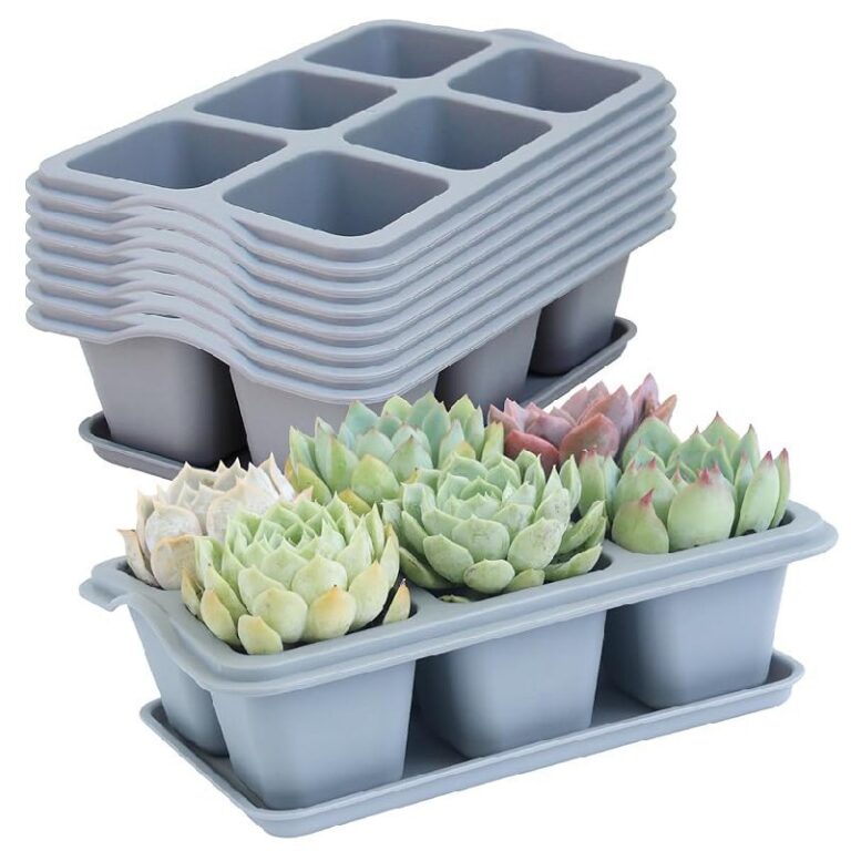 Oliz Succulent Pots – Up to 50% Off Deal