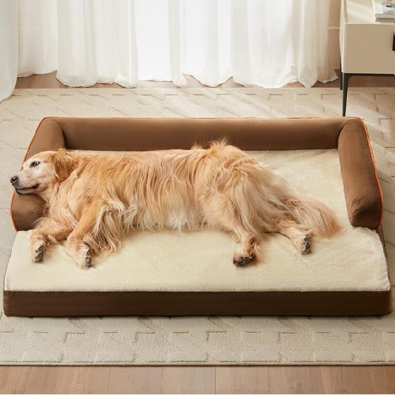 LEXTRO Orthopedic Dog Beds up to 50% off Deal