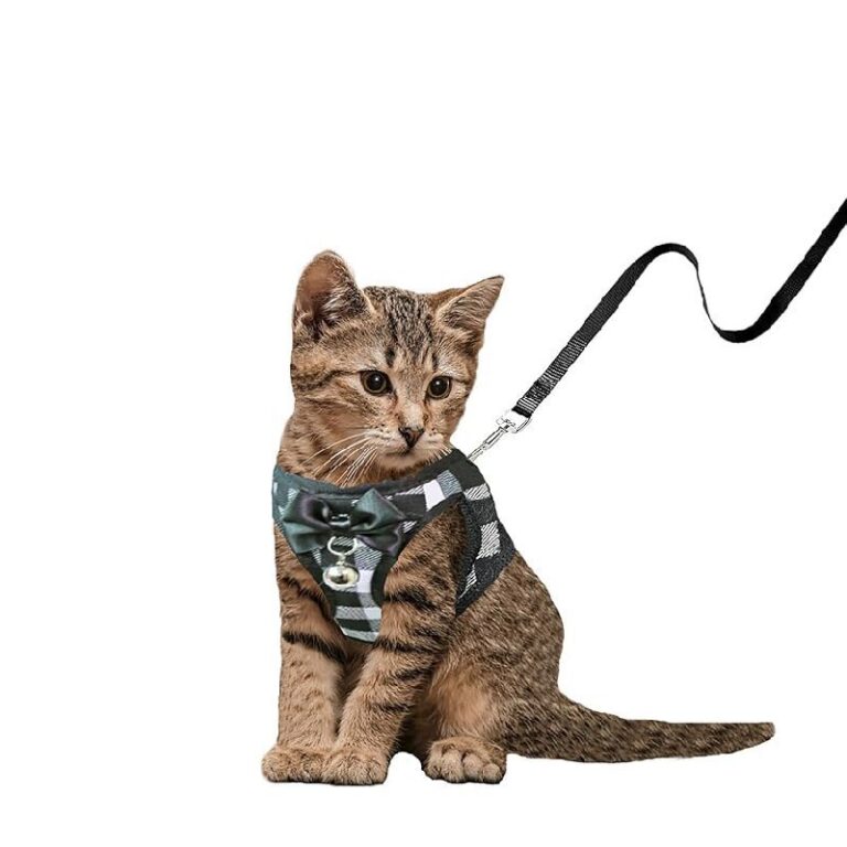 Cat Leashes Up to 50% Off Deal