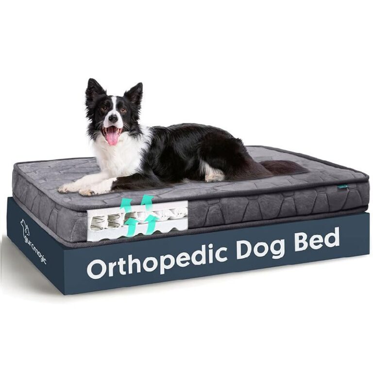 Spring Orthopedic Dog Beds: Up to 20% Off Deal