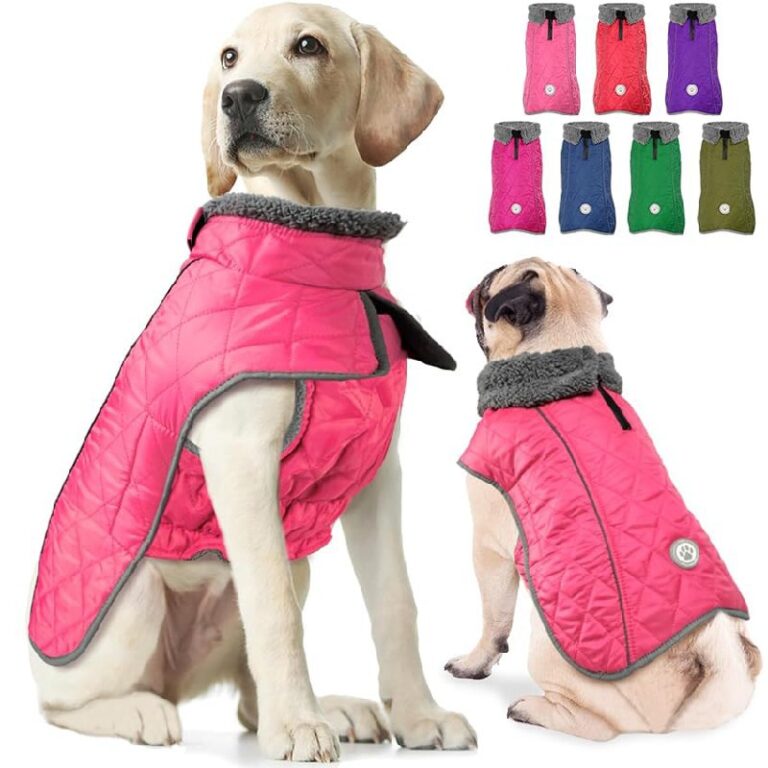 Fragralley Dog Coat up to 50% Off Deal