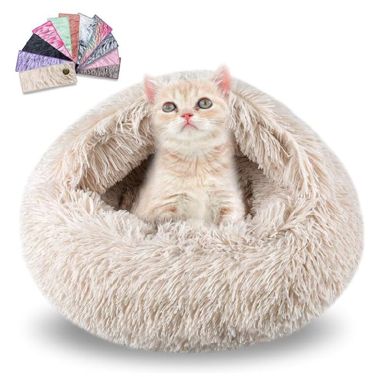 FORMYCATIE Cat Beds – Up to 40% Off Deal