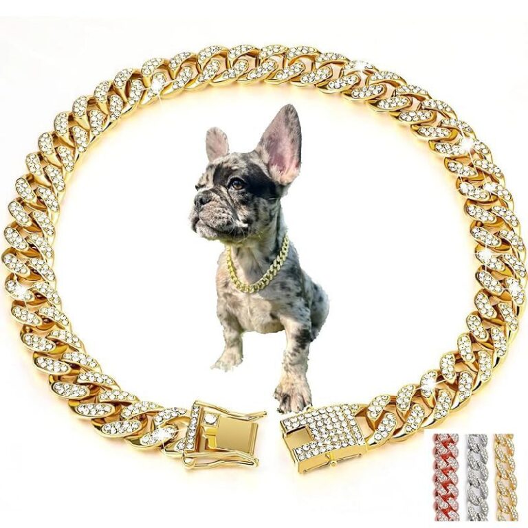 Gold Dog Necklace Collar up to 75% off Deal