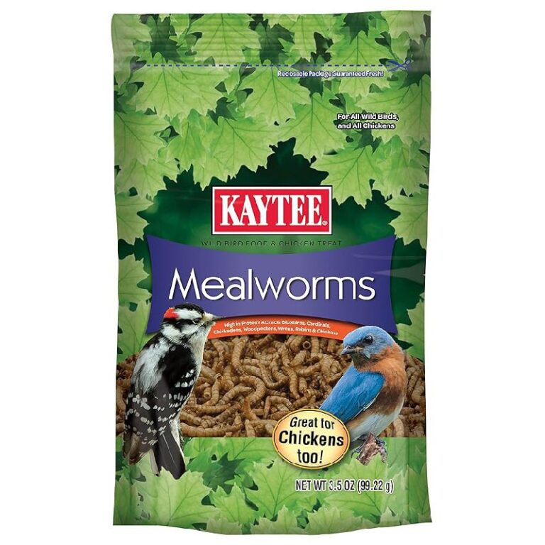 Kaytee Bird Food with up to 41% Off Deal