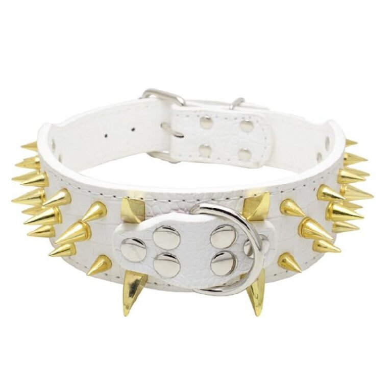 Avenpets Cool Gold Pet Collars up to 50% Off Deal