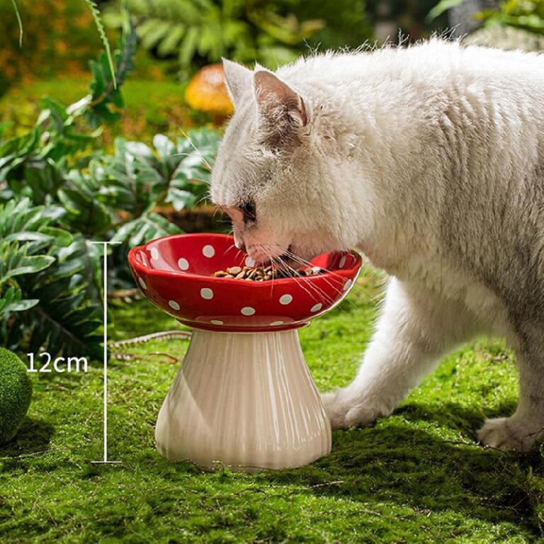 Cat Bowls Elevated: Up to 33% Off Deal on Amazon