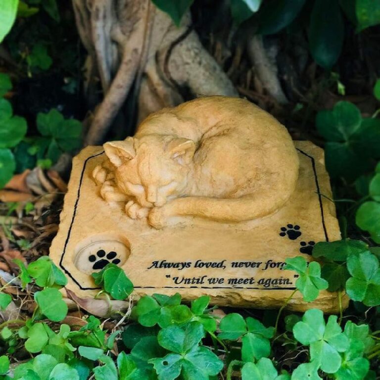 JHP Pet Memorial Stone: Up to 50% Off Deal