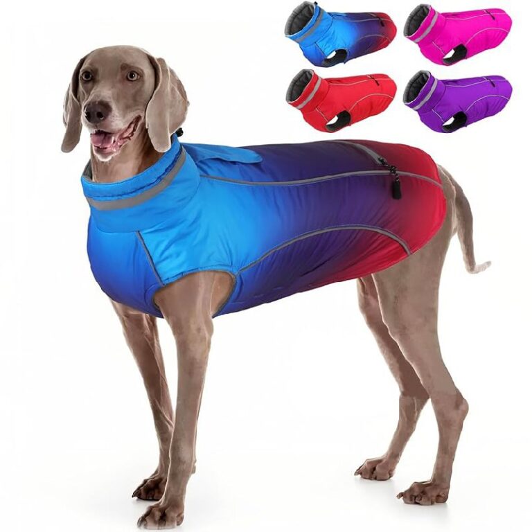 Doglay Dog Coats 50% Off Deal