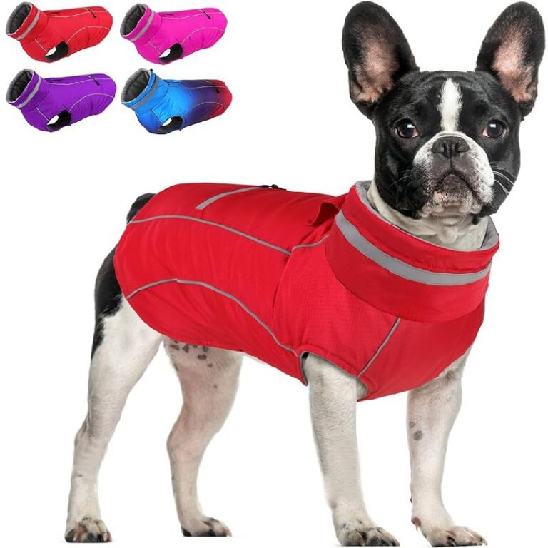 Doglay Dog Coats up to 50% off Deals