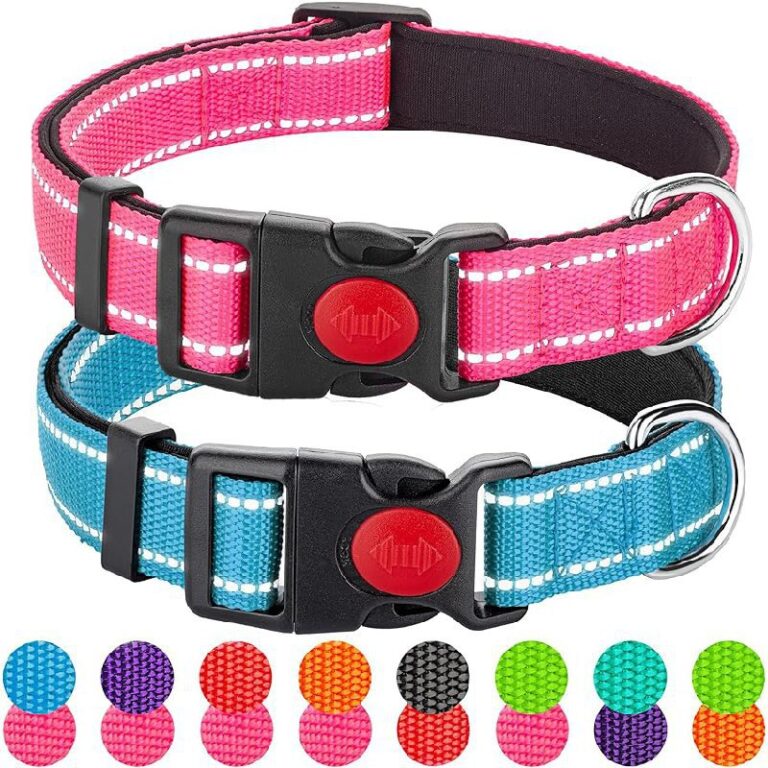 2 Pack Reflective Dog Collars – Up to 11% Off Deal