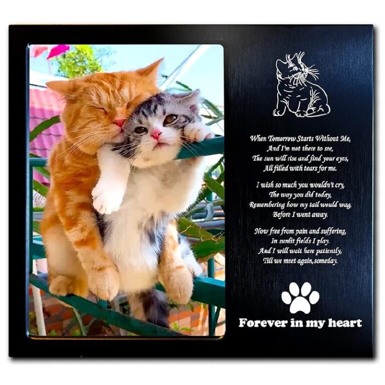 JOEZITON Cat Memorial Gifts up to 10% off Deal